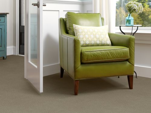 Shaw Floors Shaw Flooring Gallery Fast Lane Frost 00104_5511G