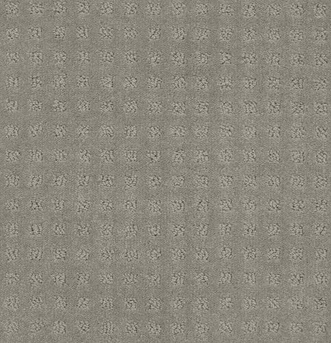 Shaw Floors Foundations Alluring Disposition Slate 00570_E9724