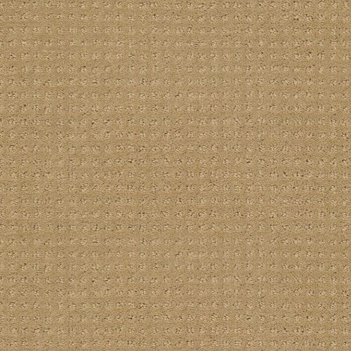 Shaw Floors Foundations Perpetual Move Warmth 00782_E9723