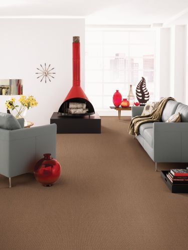 Anderson Tuftex American Home Fashions Another Place Buckaroo 00773_ZA812
