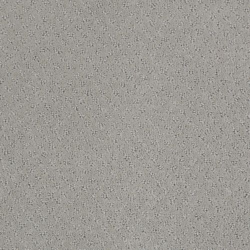 Shaw Floors Del Vista Ash Mist 00511_ZZ262