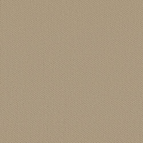 Shaw Floors Foundations Infallible Instinct Boutique 00184_E9721