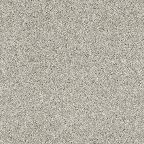 Shaw Floors Foundations Always Ready I Etched Glass 00172_E9717