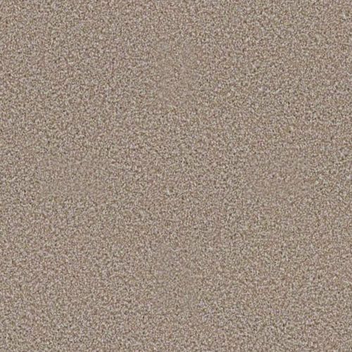 Shaw Floors Foundations Always Ready I Summerville 00790_E9717