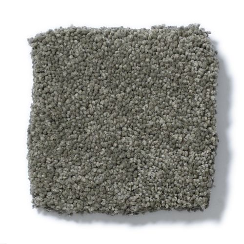 Anderson Tuftex Pawparazzi Ii Smoked Oyster 00576_ZZ093