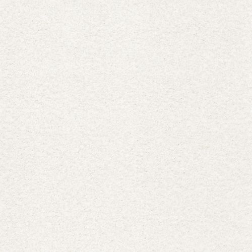 Shaw Floors SFA Tonal Comfort I Gallery Opening 00125_5E656