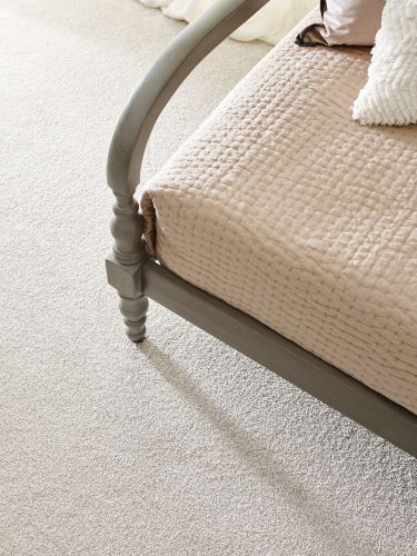 Shaw Floors SFA Tonal Comfort I Champagne Toast 00153_5E656