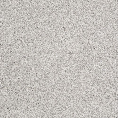 Shaw Floors Anso Colorwall Gold Texture Tonal Sequoia Park 00191_EA578