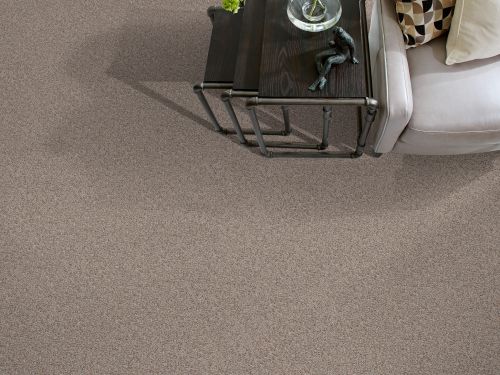 Shaw Floors Anso Colorwall Gold Texture Tonal Sequoia Park 00191_EA578