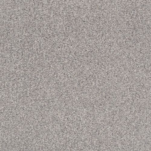 Shaw Floors SFA Tonal Comfort I Whisper 00536_5E656