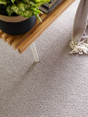 Shaw Floors SFA Find Your Comfort Tt I Whisper (T) 536T_EA817