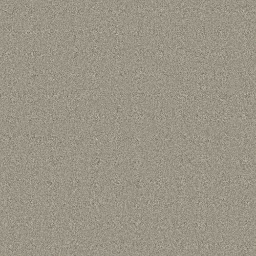 Shaw Floors SFA Tonal Comfort I Back Patio 00724_5E656