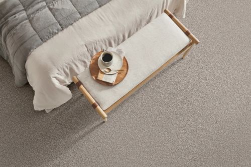 Shaw Floors SFA Tonal Comfort I Back Patio 00724_5E656