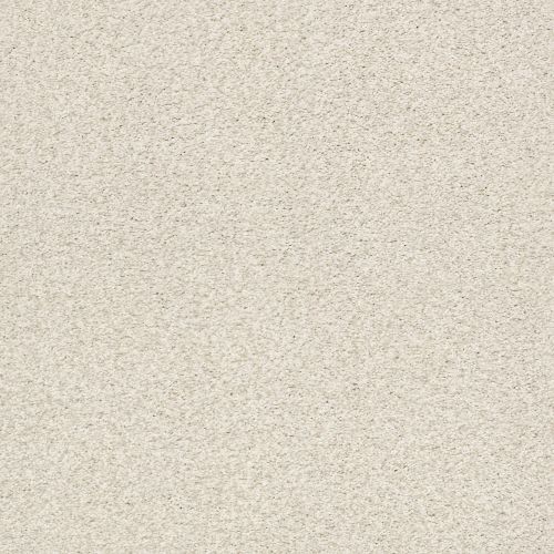 Shaw Floors SFA Find Your Comfort Tt Ii Champagne Toast (T) 153T_EA818