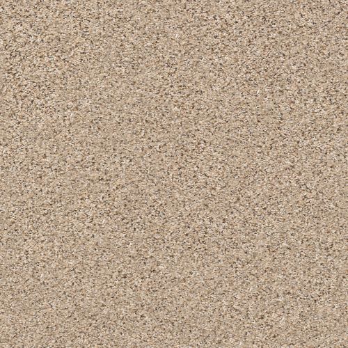 Shaw Floors FOUNDATIONS Elemental Mix III Twine 00175_E9566