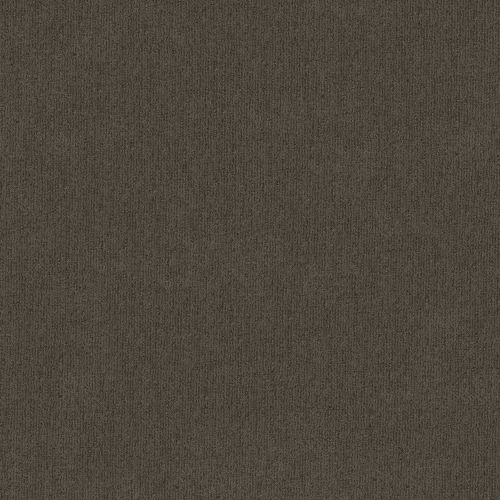 Shaw Floors Foundations Insightful Way Iron Gate 00775_E9719