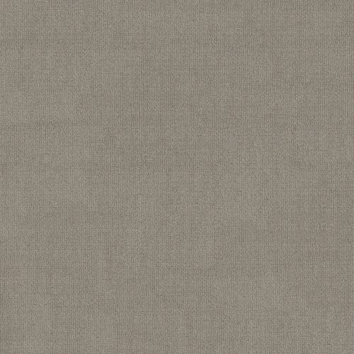 Shaw Floors Foundations Sensible Now Silhouette 00573_E9720