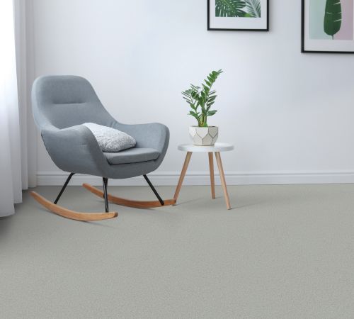 Shaw Floors Simply The Best Attainable Platinum 500S_E9965