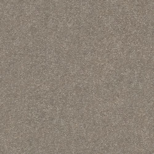 Shaw Floors Simply The Best Attainable Smooth Taupe 700S_E9965