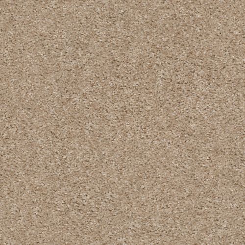 Shaw Floors Valiant Mohair 00113_5E288