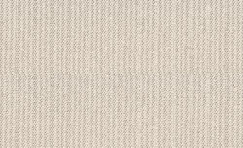 Shaw Floors Foundations Naturalistic Champagne Toast 00153_5E442