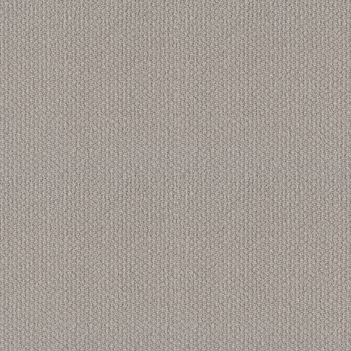 Shaw Floors Simply The Best Channeling Warm Greige 00104_5E457