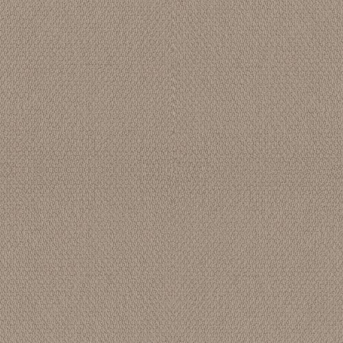 Shaw Floors Simply The Best Channeling Pebble Path 00109_5E457