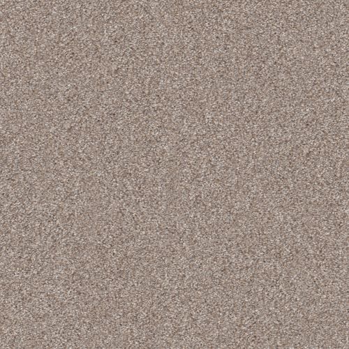 Shaw Floors PT DUME I Lady Liberty 00502_SNS66