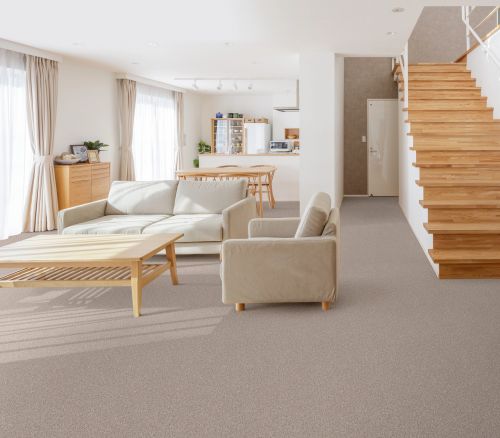 Shaw Floors PT DUME I Lady Liberty 00502_SNS66