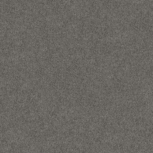 Shaw Floors SIMPLY THE BEST Truspirit I Quarry 00509_5E496