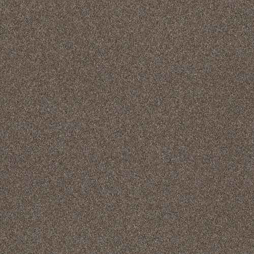 Shaw Floors SIMPLY THE BEST Truspirit I City Scape 00511_5E496