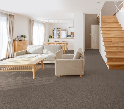 Shaw Floors SIMPLY THE BEST Truspirit I City Scape 00511_5E496