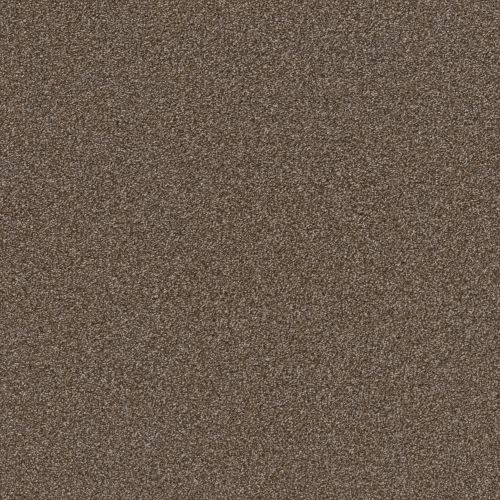 Shaw Floors SIMPLY THE BEST Truspirit I Chestnut 00707_5E496
