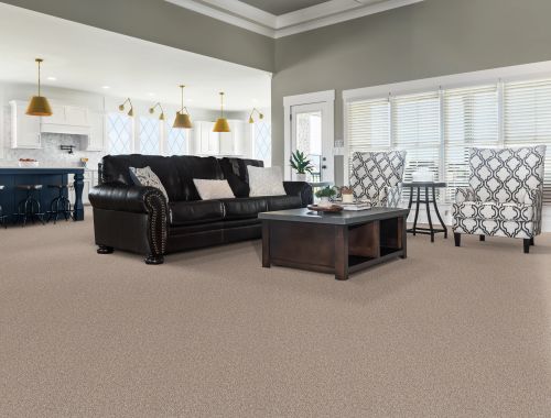 Shaw Floors Simply The Best Truspirit Ii Cottage 00705_5E497