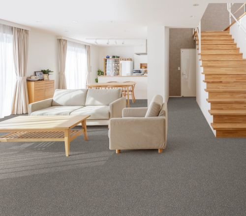 Shaw Floors Simply The Best Yet Quarry 00509_5E745