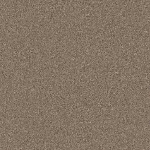 Shaw Floors PET PERFECT You Got This I Cameo 00113_5E560