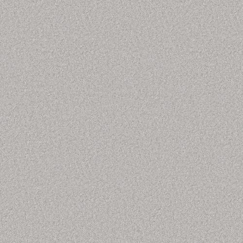 Shaw Floors Pet Perfect You Got This Ii Lilac Gray 00550_5E561