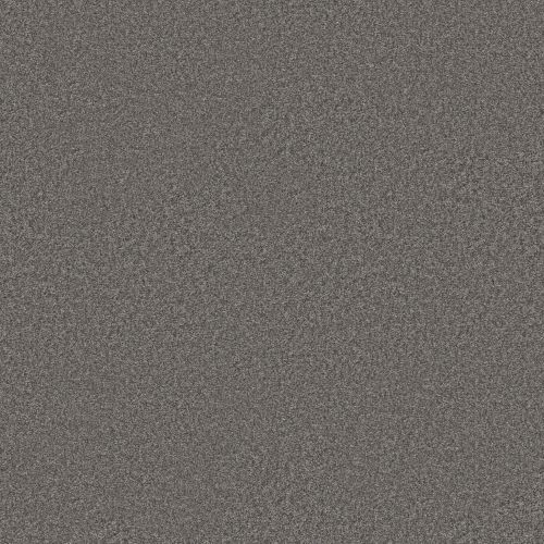 Shaw Floors Pet Perfect You Got This Iii Ashes 00501_5E562