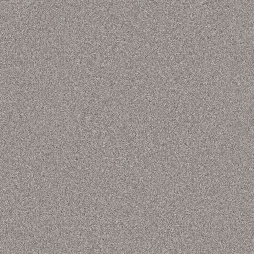 Shaw Floors Pet Perfect You Got This Iii Rock Crystal 00508_5E562