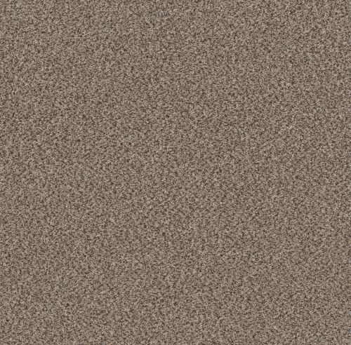 Shaw Floors Simply The Best Truspirit Ii Truffle 00701_5E497