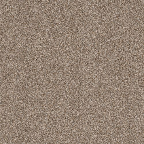 Shaw Floors Simply The Best Truspirit Ii Cottage 00705_5E497