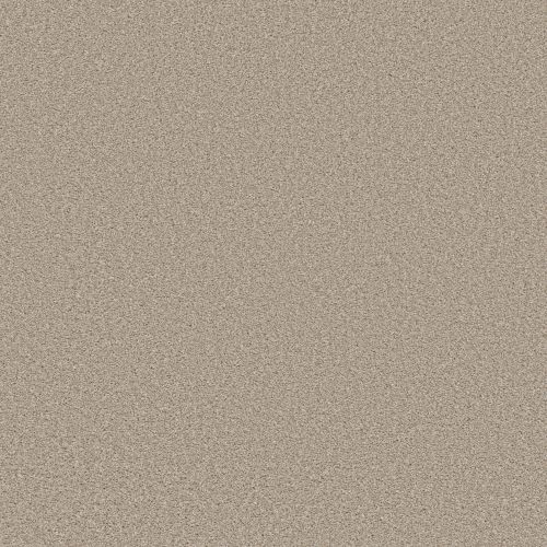 Shaw Floors SIMPLY THE BEST Trusolutions II Sand 00109_5E648