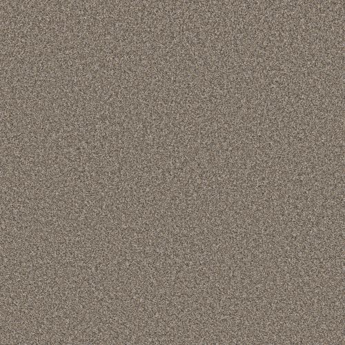 Shaw Floors PET PERFECT Remixed Classic Nutria 00102_5E679