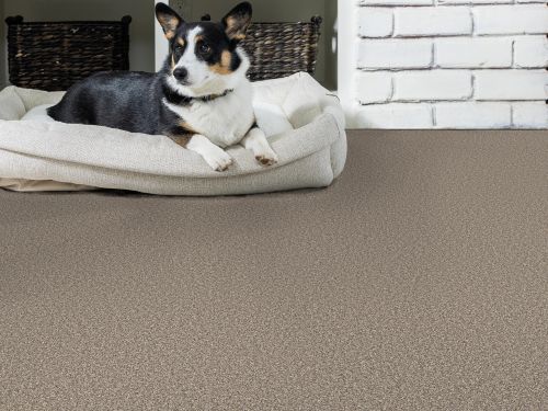 Shaw Floors PET PERFECT Remixed Classic Nutria 00102_5E679