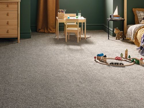 Shaw Floors SFA Tweed Comfort Ii All Dressed Up 00178_5E662