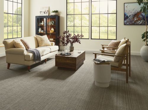 Shaw Floors Pet Perfect Shady Stroll Stonehaven 00505_5E689