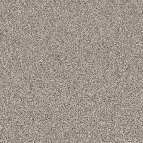 Shaw Floors Simply The Best Yet Sea Salt 00110_5E745