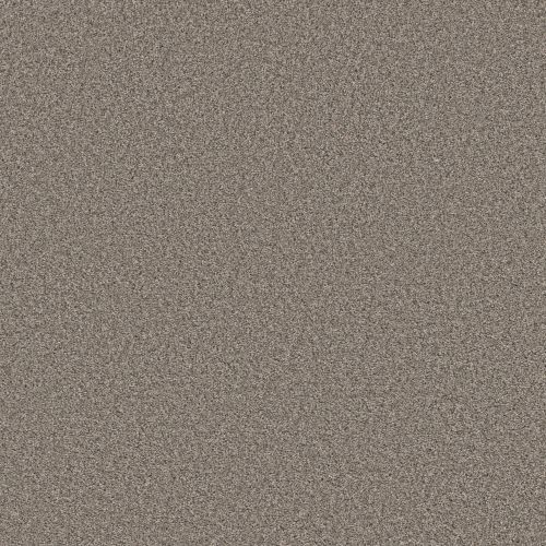 Shaw Floors SIMPLY THE BEST Always Right I Graphite 00510_5E664