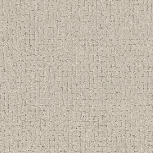 Shaw Floors Pet Perfect Plus Block Party Natural 00109_5E697