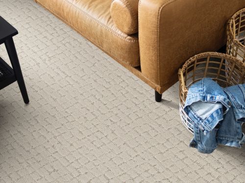 Shaw Floors Pet Perfect Plus Block Party Natural 00109_5E697